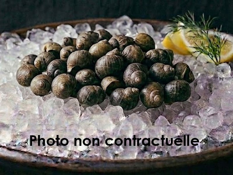 Bigorneaux
