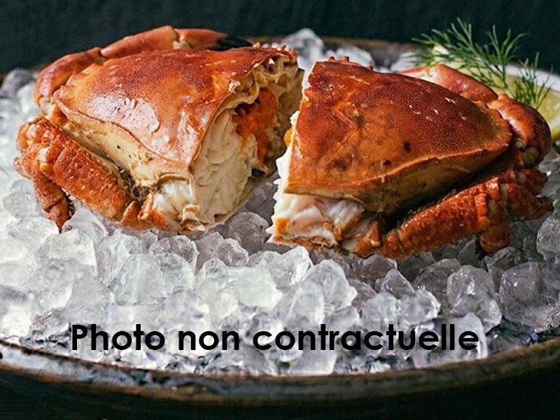 Demi-Tourteau