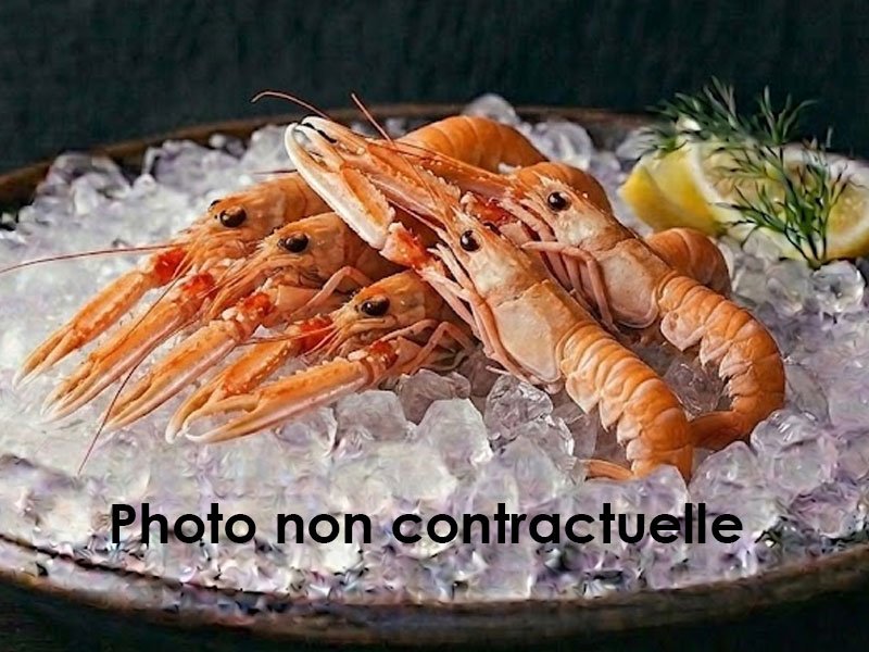 Langoustine