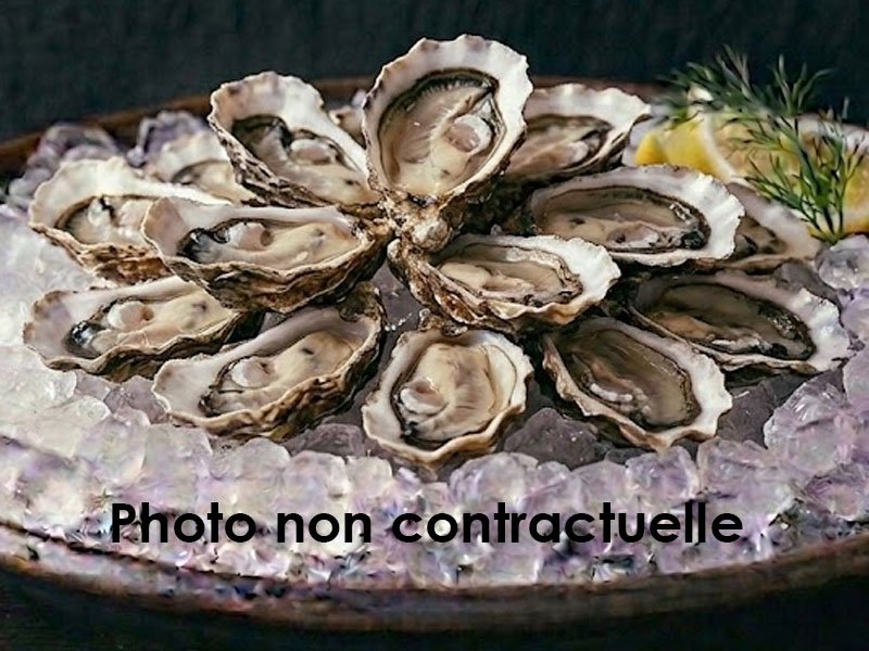 Huître n°3