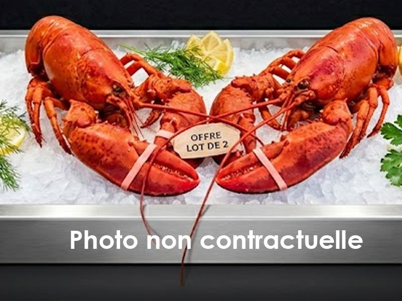 2 HOMARDS