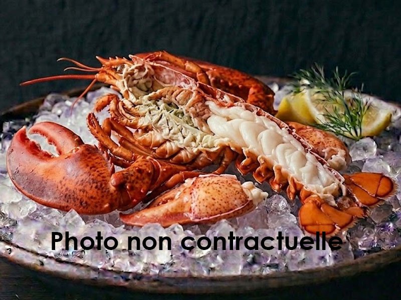 Homard